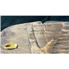 Image 2 : HAND CARVED FIRST NATIONS PLAQUE BY WALLACE BAKER TITLED "WARRIOR" 18" X 5.5"