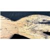 Image 10 : 5 HAND CARVED FIRST NATIONS PLAQUES & ARTWORK BY VARIOUS ARTISTS