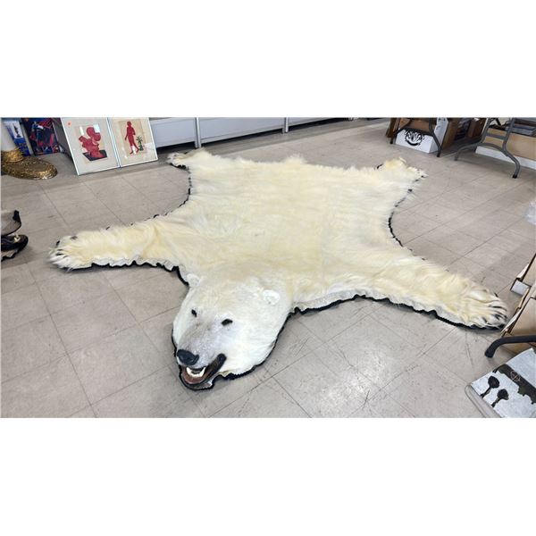 POLAR BEAR RUG WITH PAPERS, APPROX. 9'3  X 8'2 