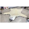 Image 1 : POLAR BEAR RUG WITH PAPERS, APPROX. 9'3" X 8'2"