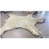 Image 2 : POLAR BEAR RUG WITH PAPERS, APPROX. 9'3" X 8'2"