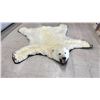Image 1 : POLAR BEAR RUG WITH PAPERS APPROXIMATELY 6'1" X 6'3"