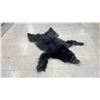 Image 1 : BLACK BEAR SKIN WITH PAPERS APPROXIMATELY 53" X 48"