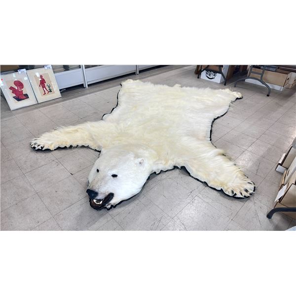 POLAR BEAR RUG WITH PAPERS APPROXIMATELY 9'6  X 7'6 