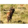 Image 4 : Red Stag Cancellation Rut Hunt for 2 Hunters at Avon Valley Safaris - March 17-21, 2025