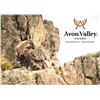 Image 17 : Red Stag Cancellation Hunt for 2 Hunters at Avon Valley Safaris - May 5-9, 2025