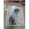 Image 9 : Books, Beach Boy & Elvis DVDs, Super Star Cards, Carl Burnett