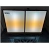 Image 1 : *OFFSITE* Cabinet with lighting (works) 30”w x 6”d x 20”h