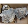 Image 2 : Box of fossils & other rocks