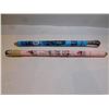 Image 1 : 2 LARGE WOODEN SOUVENIR PENCILS