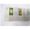 Image 5 : 8 red rose tea cards (wild flowers of north america) plus full book