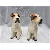 Image 1 : VINTAGE PAIR OF WIRE HAIRED BOX TERRIER 7" HIGH