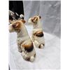 Image 3 : VINTAGE PAIR OF WIRE HAIRED BOX TERRIER 7" HIGH