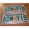 Image 1 : 1994 Saskatchewan Passenger License Plates ADW 918