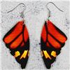 Image 1 : New Bright Colourful & Beauitful Butterfly Earrings