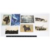Image 1 : 7 ASSORTED POST CARDS