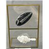Image 2 : Orthoceras Fossil / Clear Quartz Display. Retails $350.00