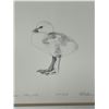 Image 1 : 1984 Ross' Goose 1 Day Old 137/238 (Frame: 16x18.75")