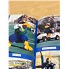 Image 10 : Winnipeg Blue Bombers 1930-1990 60 Years and Running 899/2000 Bud Irving 144 pages
