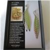 Image 4 : Indigenous earring lot.  Includes 6 pairs of pierced earrings.  See photos