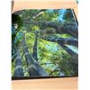 Image 6 : Hawaii by Peter Lik photo book with slip case - see all photos