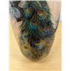 Image 3 : Heinrich (W. Germany) Large Peacock Vase Handgemalt Kmotsch Approx: 21.5"T 12"W