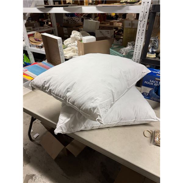 2 large throw pillows