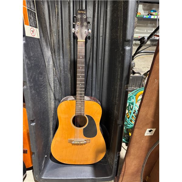 Guitar