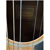 Image 2 : Guitar