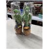 Image 1 : Dancing cactus