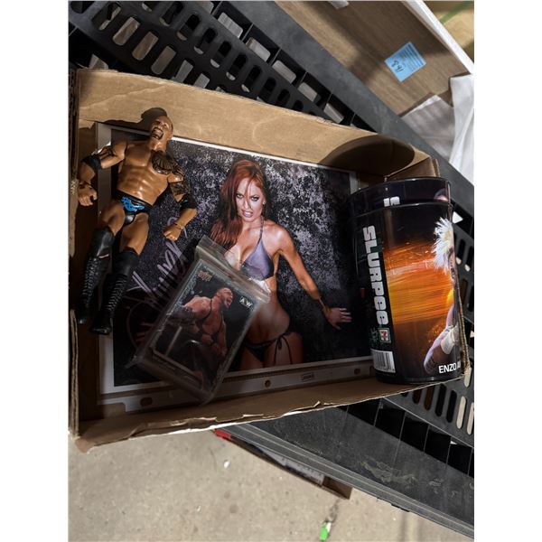 Wrestling collectible cards, figure cup, and poster