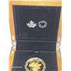 Image 5 : RCM 2018 Iconic Maple Leafs $20 Silver Dollar