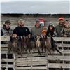 Image 1 : Guided Pheasant Hunt - 20 birds (10 roosters, 10 hens)