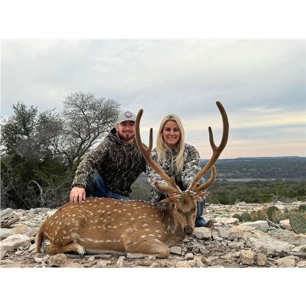Axis Buck & Doe Hunt