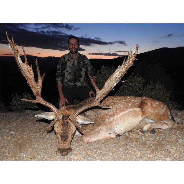 Spain Big Game Hunt
