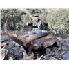 Image 3 : Spain Big Game Hunt