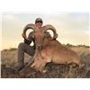 Image 1 : West Texas Aoudad Hunt