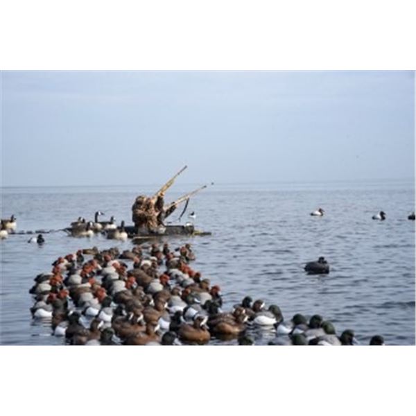 Box Blind Duck Hunt -  Pamlico Sound, North Carolina -4 People, ½ Day hunt - Donated by Killum Guide