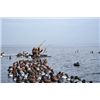 Image 1 : Box Blind Duck Hunt -  Pamlico Sound, North Carolina -4 People, ½ Day hunt - Donated by Killum Guide
