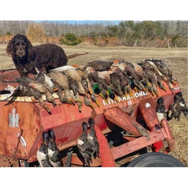 North Carolina and South Carolina Combo Duck Hunt 2 People, 2 Days Donated by Chris Hawkins