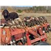 Image 1 : North Carolina and South Carolina Combo Duck Hunt 2 People, 2 Days Donated by Chris Hawkins