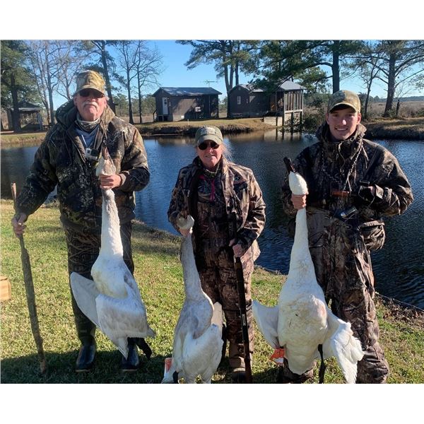 Swan and Snow Goose Hunt - Englehard, North Carolina  5 People, ½ Day