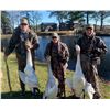 Image 1 : Swan and Snow Goose Hunt - Englehard, North Carolina  5 People, ½ Day