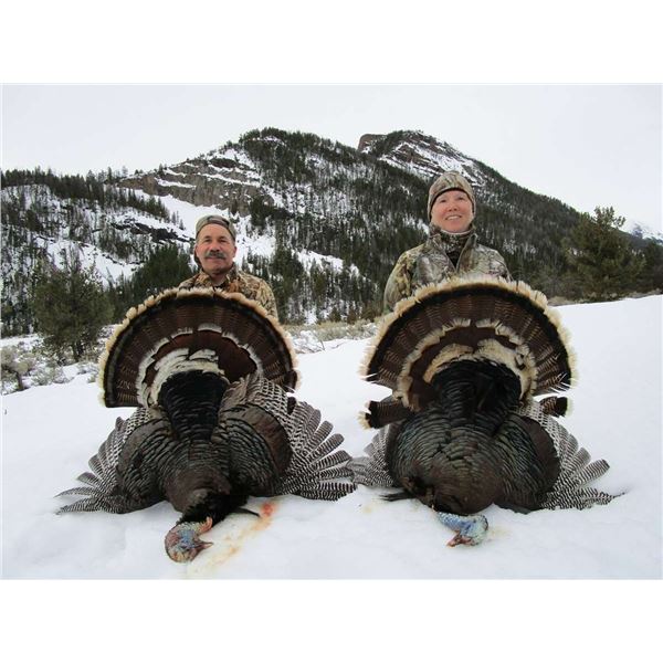 Wyoming Merriam Turkey Hunt “ 2 People, 3 Days Donated by Yellowstone L&R Ranch, Jim Roquem