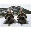 Image 1 : Wyoming Merriam Turkey Hunt “ 2 People, 3 Days Donated by Yellowstone L&R Ranch, Jim Roquem