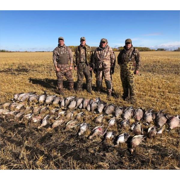 Saskatchewan Duck and Goose Hunt 2 People, 3 Days Donated by Duck Creek Outfitters “ Sykes 