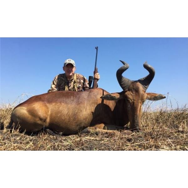 South African Plains Game Hunt 4 People, 5 Days Donated by Wild Wildebeast Safari: Tony du Bruyn Out
