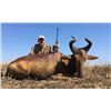 Image 1 : South African Plains Game Hunt 4 People, 5 Days Donated by Wild Wildebeast Safari: Tony du Bruyn Out