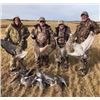 Image 1 : North Dakota Opening Week Duck and Goose Hunt 2 Person, 3 Days 3 Nights, October 2-5, 2025 Donated b