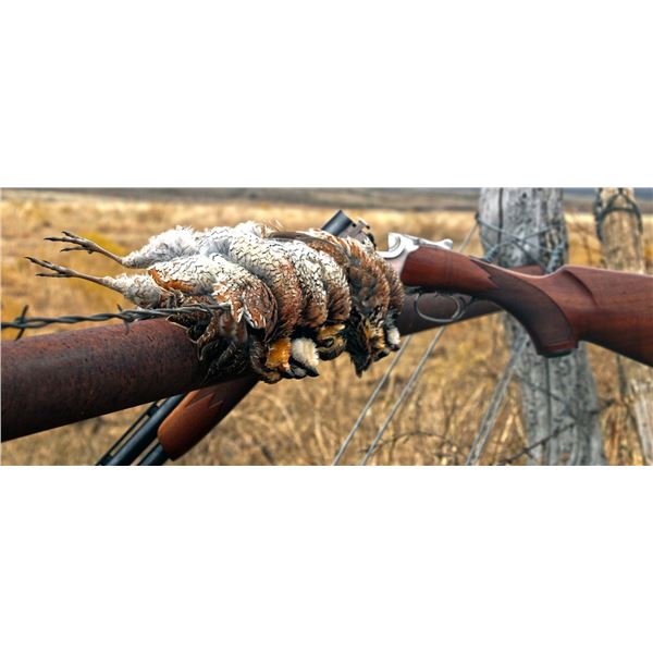 Whispering Pines Plantation Quail Hunt - 2 People, 1 Day Donated by Johnny Evans